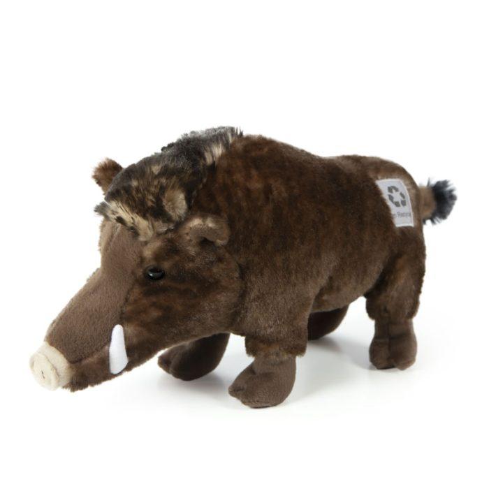 Cinghiale Eco